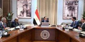 رئيس الوزراء يعرض الصورة النهائية لمبادرة تركيب الألواح الشمسية على مجلس الوزراء