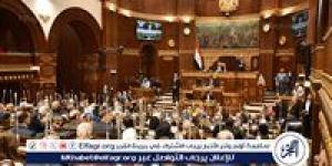 لجنة الطاقة بمجلس الشيوخ تناقش ملف العدادات الكودية والشريحة الموحدة