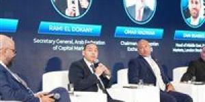 إسلام عزام: إطلاق العقود المستقبلية على الأسهم وتفعيل صانع السوق يعززان كفاءة البورصة المصرية