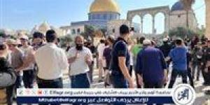الاحتلال يوسع استهداف الأقصى.. حملة لتجنيد متطوعين في وحدة تأمين اقتحامات المسجد المبارك