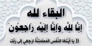 محافظ أسوان ينعى عامل نظافة توفي أثناء أداء عمله إثر حادث سير