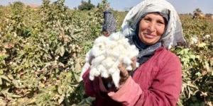 جهاز الاحصاء: 182.2 ألف قنطار متري كمية الاقطان المستهلكة عام 2025