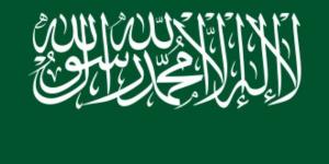 السعودية تدعم قطاع الطاقة اليمني بمشتقات نفطية بـ 150 مليون دولار