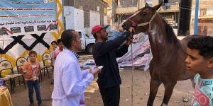 محافظ الدقهلية يتفقد القافلة الطبية البيطرية المجانية بقرية نشا