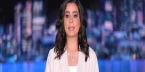 هند الضاوي : الملف السوري وراء التصعيد المتزايد بين تركيا وإسرائيل