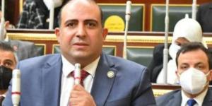 مطالب برلمانية بتعزيز دور الاتحاد الإفريقي وترسيخ العدالة في النظام الدولي