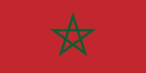 المغرب وشيلي يبحثان تعزيز تعاونهما التجاري