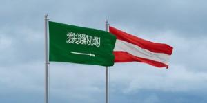 اتصال سعودي نمساوي رفيع يبحث تطورات المنطقة وتعزيز التعاون الدولي