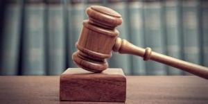 تأييد إحالة أوراق عامل وربة منزل لمفتي الجمهورية لقتلهما شابا بالقناطر الخيرية