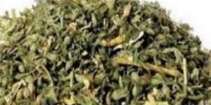 تفاصيل القبض على تاجر إستروكس في كمين ببولاق الدكرور