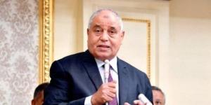نائب يشيد بمناقشة الحكومة توسعات الشركة الصينية للإطارات وتعميق التصنيع المحلي في مصر