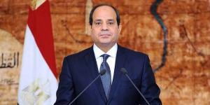 الرئيس السيسي: ملتزمون بدعم مشروعات السدود فى الكونغو الديمقراطية من أجل التنمية ودون الإضرار بالغير