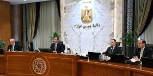 رقم تاريخي لم يتحقق سابقا.. رئيس الوزراء: توريد 4.6 مليون طن قمح من المزارعين حتى الآن