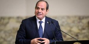 الرئيس السيسي: أجريت مباحثات مثمرة مع رئيس الكونغو الديمقراطية عكست إرادتنا نحو تعزيز الشراكة الإستراتيجية
