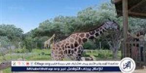 موعد افتتاح حديقة حيوان الجيزة 2026.. عودة «جنينة الحيوانات» بعد تطوير شامل