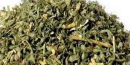 تفاصيل القبض على تاجر إستروكس في كمين ببولاق الدكرور