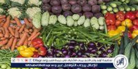 أسعار الخضروات والفواكه اليوم الاربعاء 10 يونيو 2026 في أسواق الأقصر