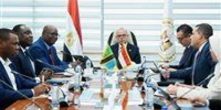 وزير الاستثمار: نعمل على توسيع نفاذ الصادرات المصرية إلى السوق التنزانية وأسواق شرق إفريقيا