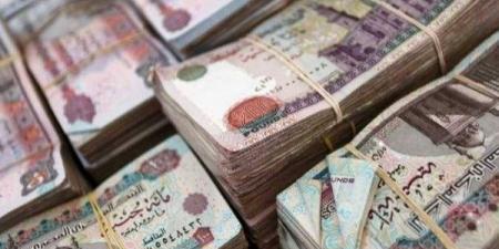 أزمة التأمينات أمام البرلمان.. اعرف مصير تعويضات أصحاب المعاشات