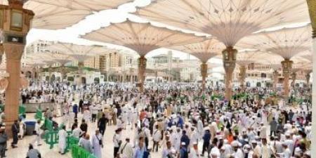 "المنورة" بوابة رقمية موحدة لخدمات ومعلومات المدينة المنورة