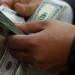 هدوء فى سعر الدولار مقابل الجنيه فى مستهل التعاملات الصباحية