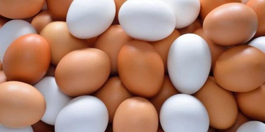 السعر انخفض بالأسواق.. اعرف البيض الأحمر والأبيض والبلدي بكام؟
