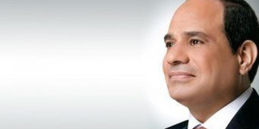 نائب: لقاء الرئيس السيسي بنظيره الإريتري يعكس قوة الدور المصري