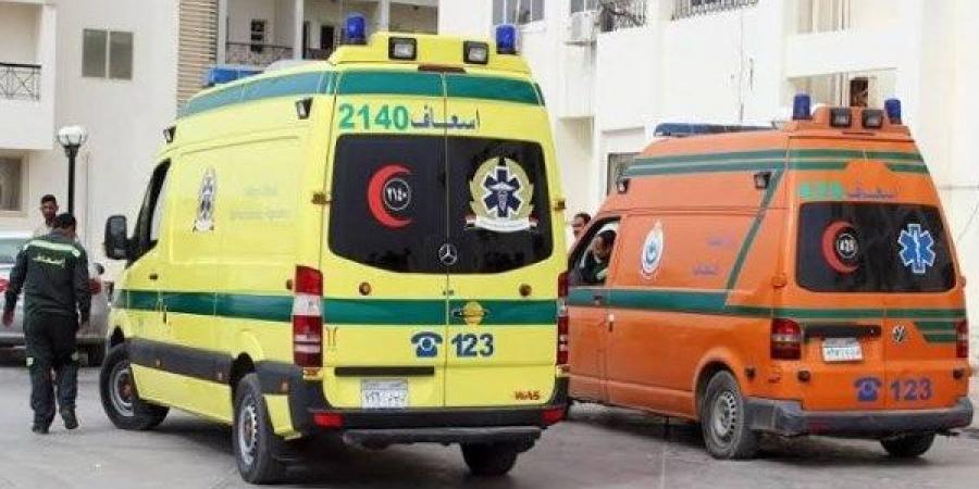 بينهم 3 أشقاء.. مصرع شخص وإصابة 5 آخرين في تصادم سيارة بحاجز خرساني بالبحيرة