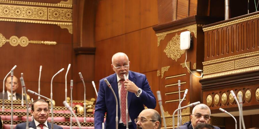 "صناعة الشيوخ" تناقش اقتراح الجندي بشأن تحفيز المصريين في الخارج