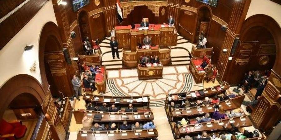 برلماني: نطالب بتمكين القطاع الخاص وفتح أسواق جديدة للعمالة المصرية بالخارج