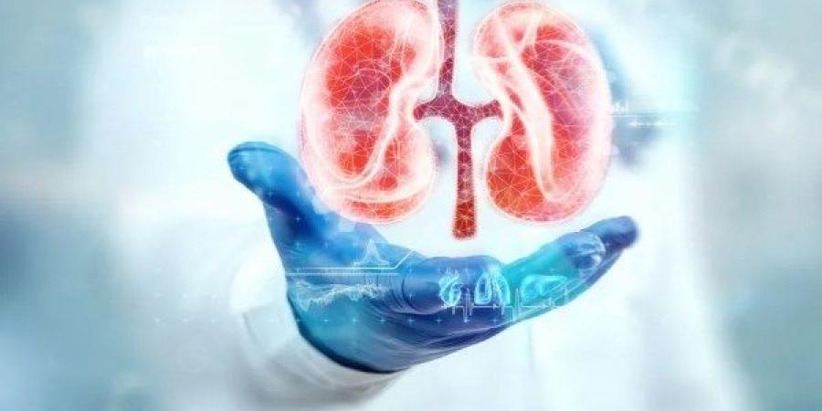 تنظيف الكلى طبيعيًا.. طرق فعالة وأطعمة تقلل خطر الحصوات وتحسن وظائفها