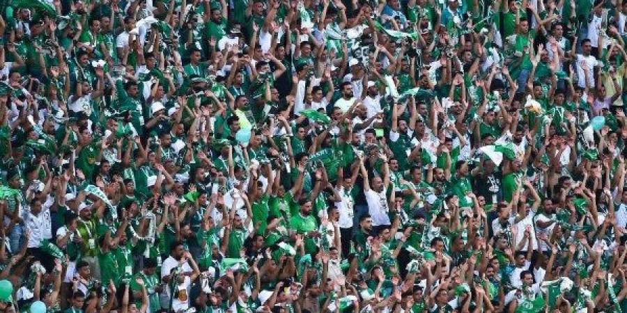 10 ملايين جنيه ومواجهة الزمالك.. مكاسب كبيرة للمصري البورسعيدي بعد التتويج بكأس عاصمة مصر
