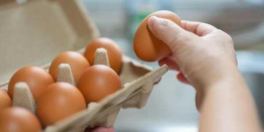بعد انخفاض سعره.. أفضل طريقة لتخزين البيض فترة طويلة