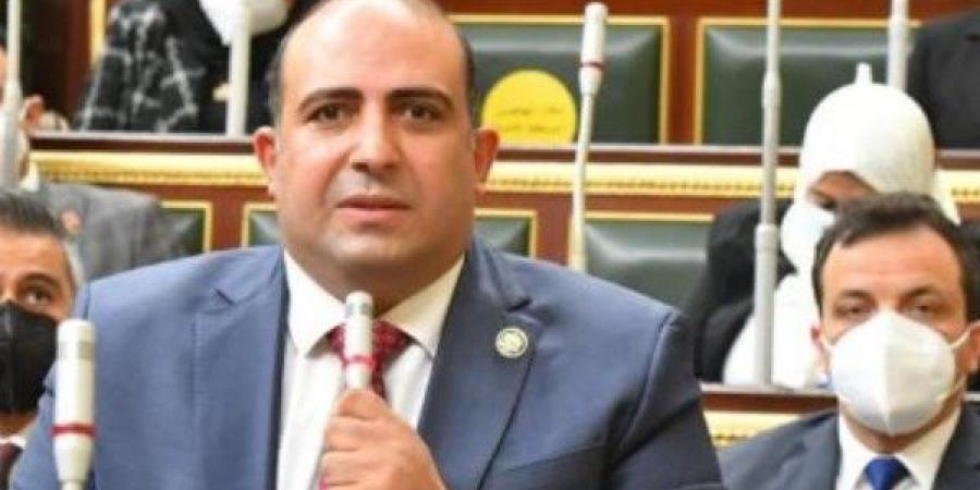 مطالب برلمانية بتعزيز دور الاتحاد الإفريقي وترسيخ العدالة في النظام الدولي