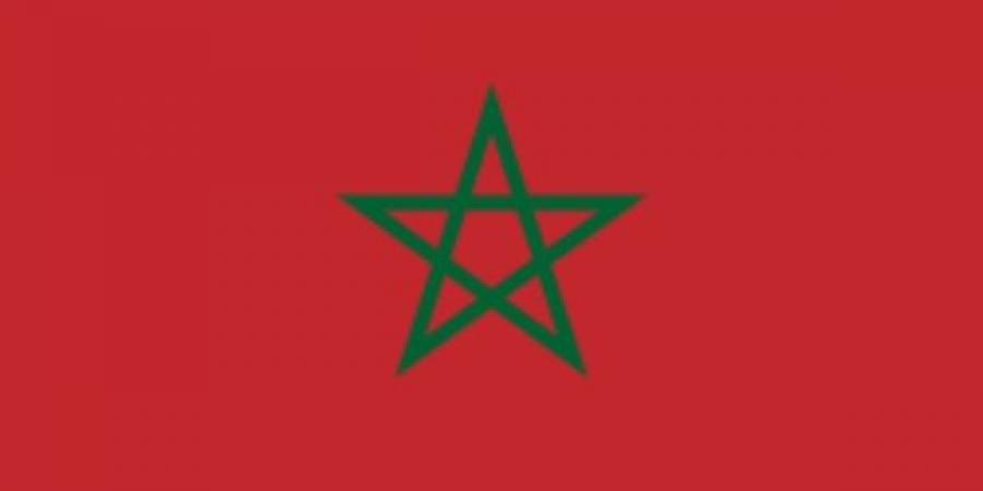 المغرب وشيلي يبحثان تعزيز تعاونهما التجاري