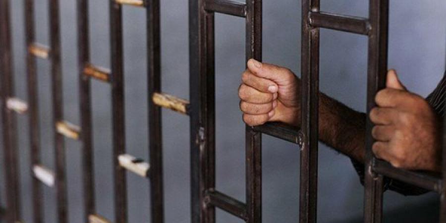 حبس وغرامة 200 ألف جنيه.. مشروع قانون جديد لمواجهة التضليل الرقمي