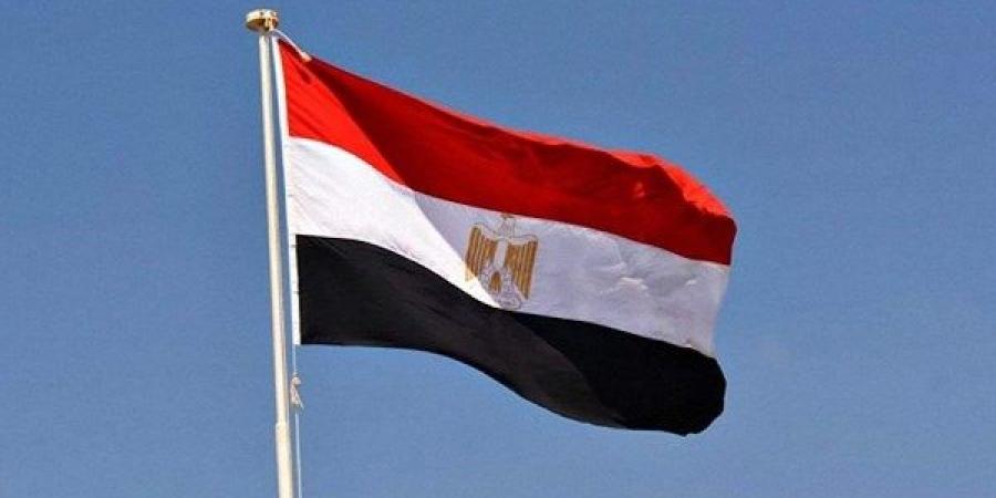 الشحات: مصر تواصل ترسيخ مكانتها كشريك موثوق للدول الإفريقية