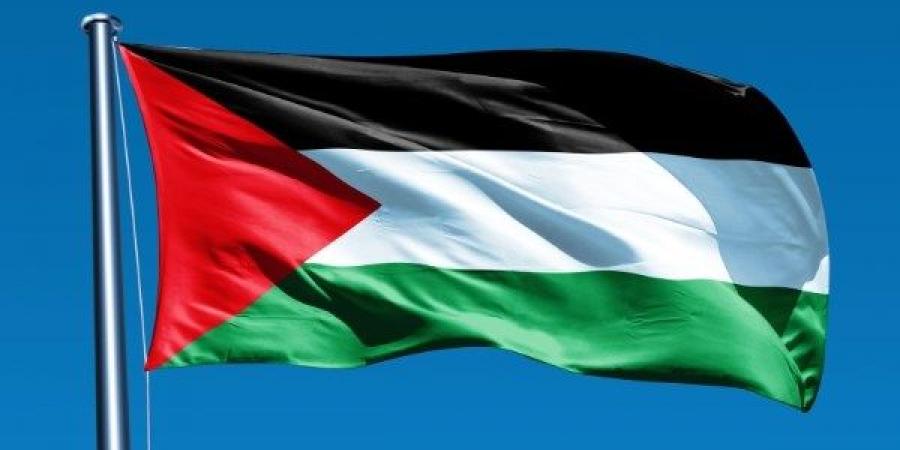 خارجية الشيوخ: استضافة القاهرة للفصائل الفلسطينية تؤكد ريادة مصر في جهود التهدئة