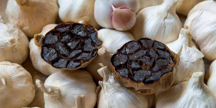 يمنع اللوكيميا وأخطر الأمراض .. اكتشف ماذا يحدث للجسم عند تناول الثوم الأسود