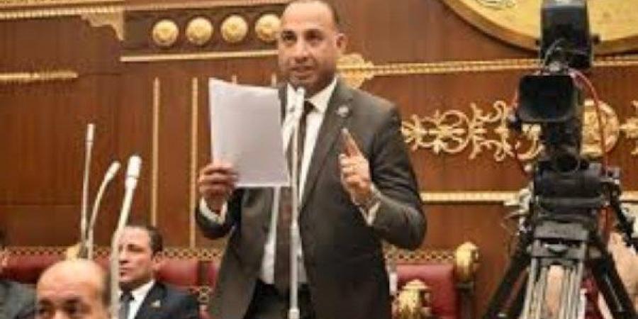 النائب عماد بركات يطالب بآلية رقابية دورية لتنفيذ خطة التنمية الاقتصادية والاجتماعية