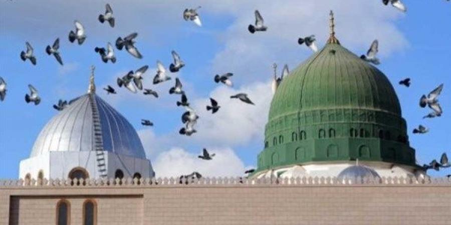 ما هي الوسيلة والفضيلة في الدعاء الذي يقال بعد الأذان؟ الأزهر للفتوى يوضح