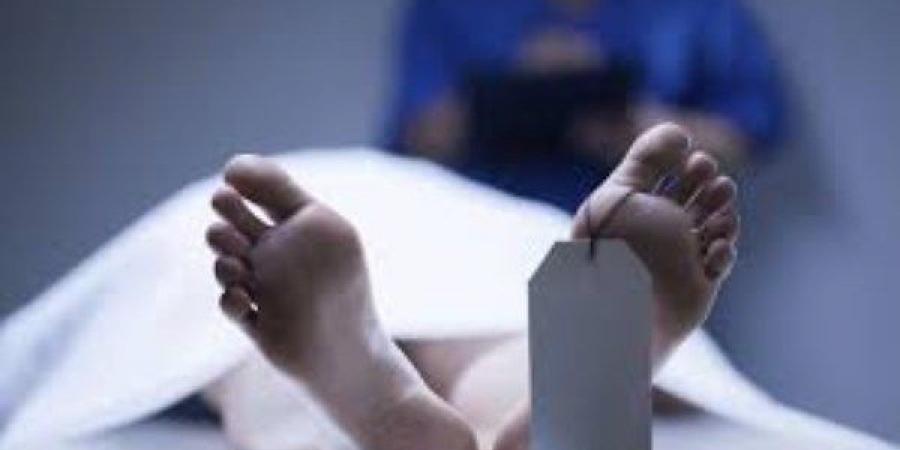 خلافات الميراث تنتهي بجريمة مأساوية.. موظف يقتل شقيقه الأصغر في أسيوط