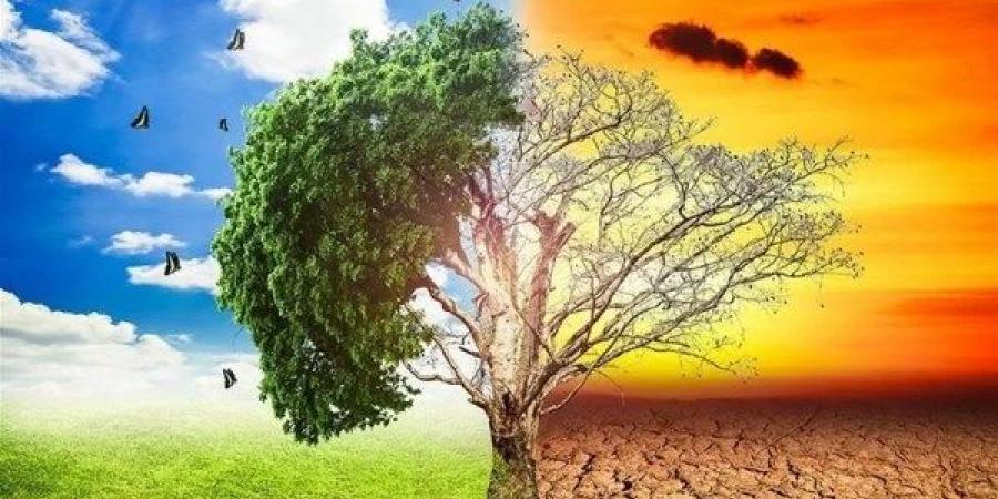 تقرير: حماية المحيطات والبحار من التدهور ضرورة استراتيجية لتأمين مستقبل البشرية