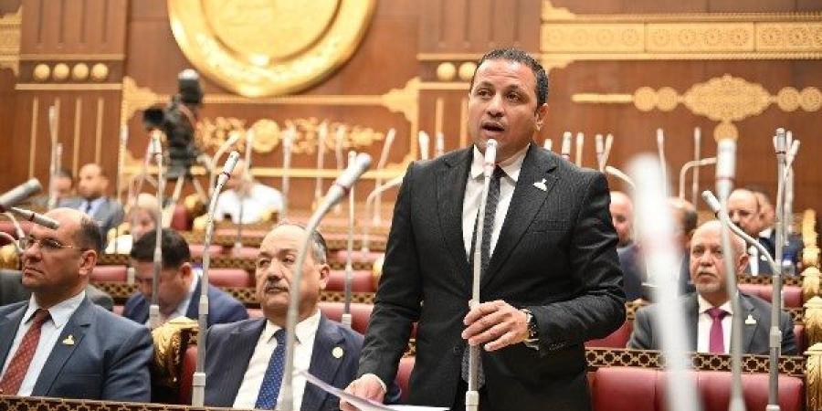 عضو بالشيوخ: قرار الكهرباء الجديد يخفف الأعباء عن أصحاب العدادات الكودية ويُسرّع إجراءات التصالح