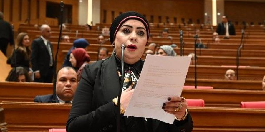برلمانية: مصر تقود تحركًا مسئولًا لإنجاح اتفاق شرم الشيخ وتعزيز فرص الاستقرار بالمنطقة
