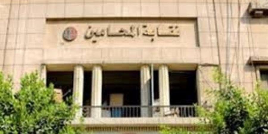 "المحامين" تحيل نسمة الخطيب للتحقيق بسبب مطالبتها بتقنين الدعارة في مصر
