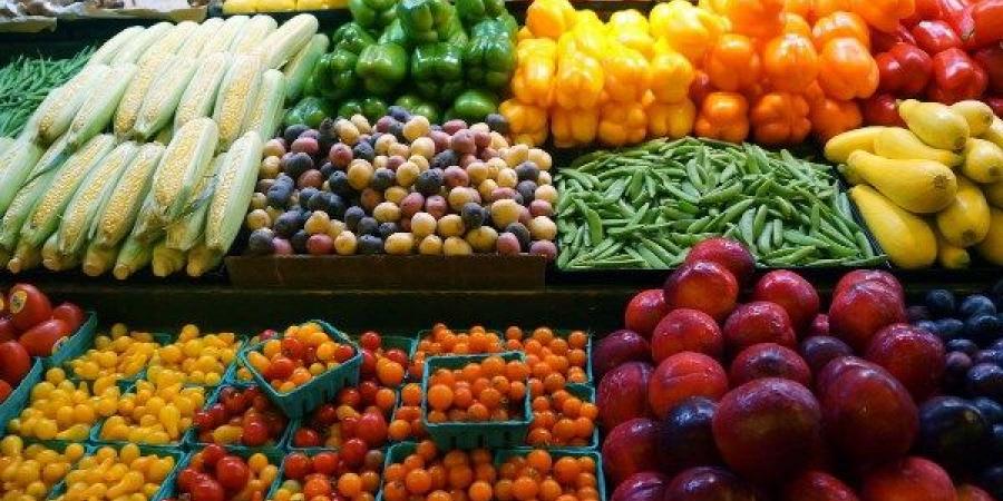 مفيش فرق.. الزراعة: الحقل اللي بنصدر منه منتجات زراعية هو اللي بنطلع منه للسوق المحلي