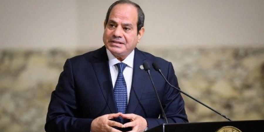 الرئيس السيسي: أجريت مباحثات مثمرة مع رئيس الكونغو الديمقراطية عكست إرادتنا نحو تعزيز الشراكة الإستراتيجية