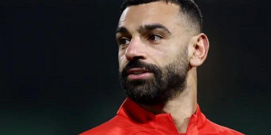 حارس بلجيكا السابق: محمد صلاح أخطر أسلحة منتخب مصر.. وأتوقع تأهل الفراعنة للدور التالي