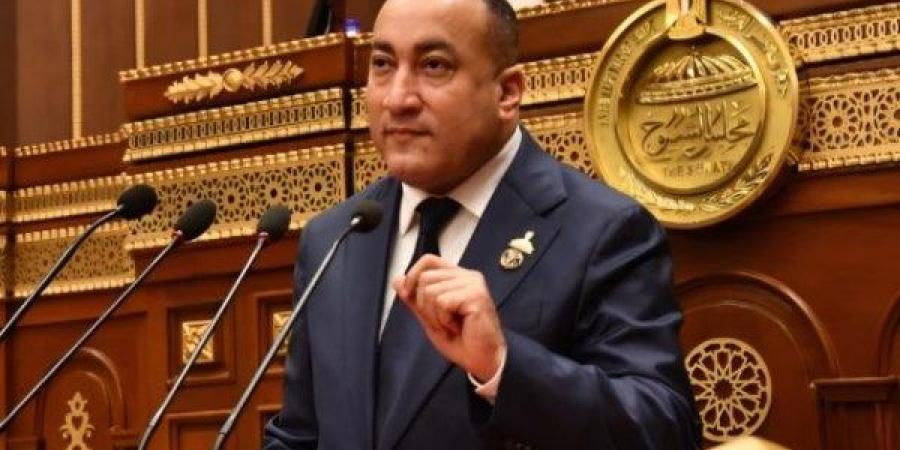 نائب يطالب بملاحقة مروجي الدعارة إلكترونيًا وتفعيل نصوص القانون